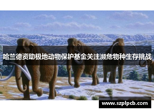 哈兰德资助极地动物保护基金关注濒危物种生存挑战