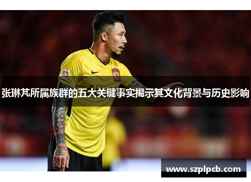 张琳芃所属族群的五大关键事实揭示其文化背景与历史影响